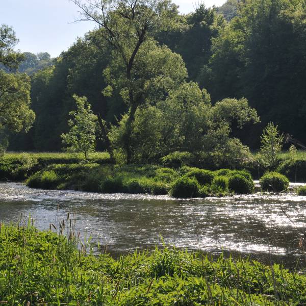 Bach durch die Wälder von Hohenlohe
