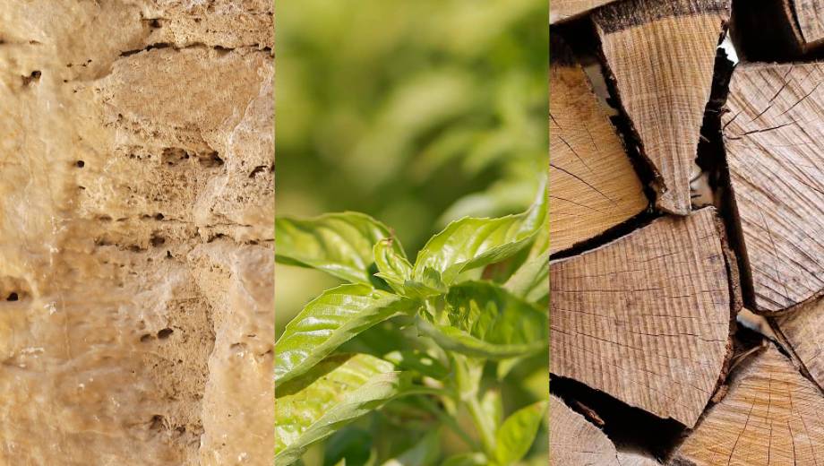 Collage aus Stein, Pflanze und Holz